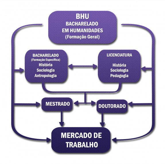 FLUXOGRAMA BHU