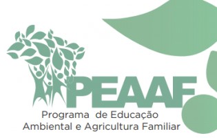 Peaaf